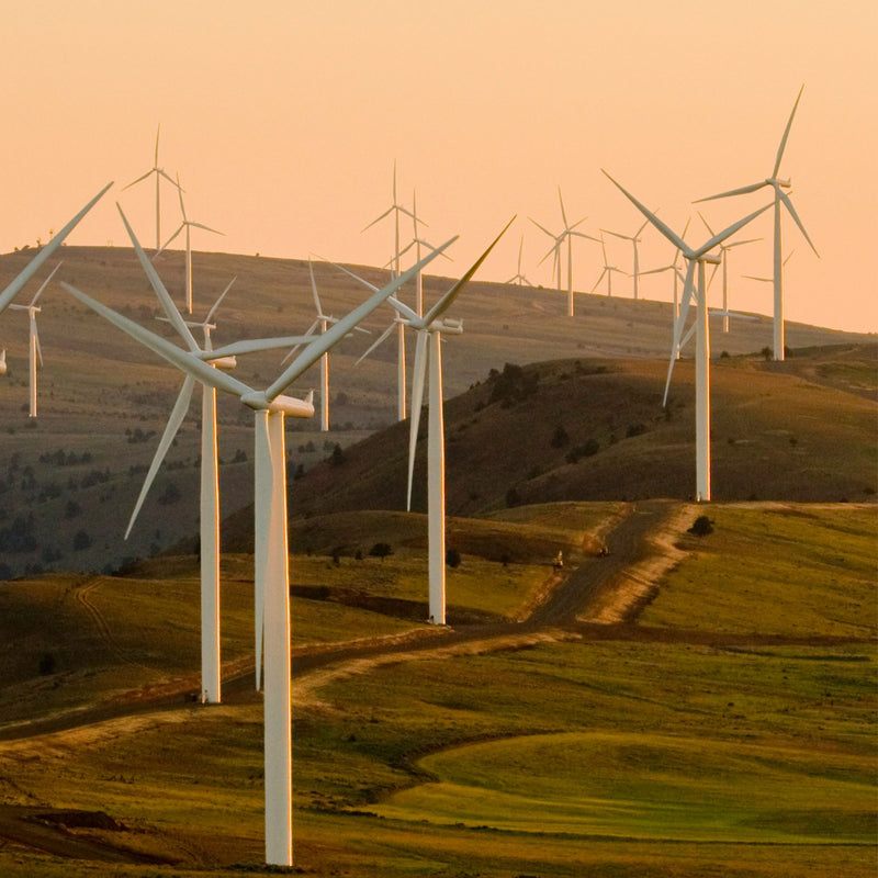 Rispetto per l'ambiente